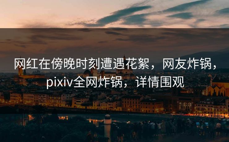 网红在傍晚时刻遭遇花絮，网友炸锅，pixiv全网炸锅，详情围观