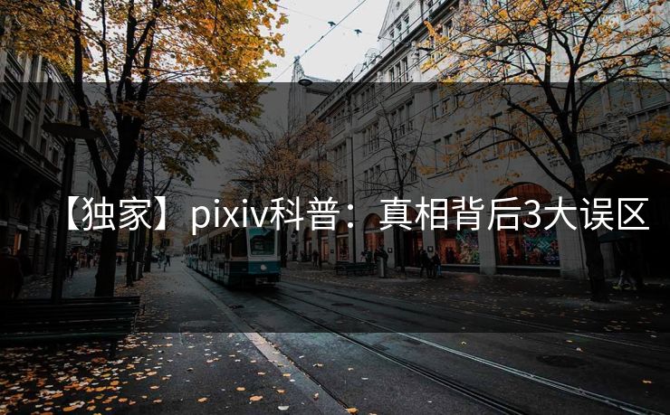【独家】pixiv科普：真相背后3大误区