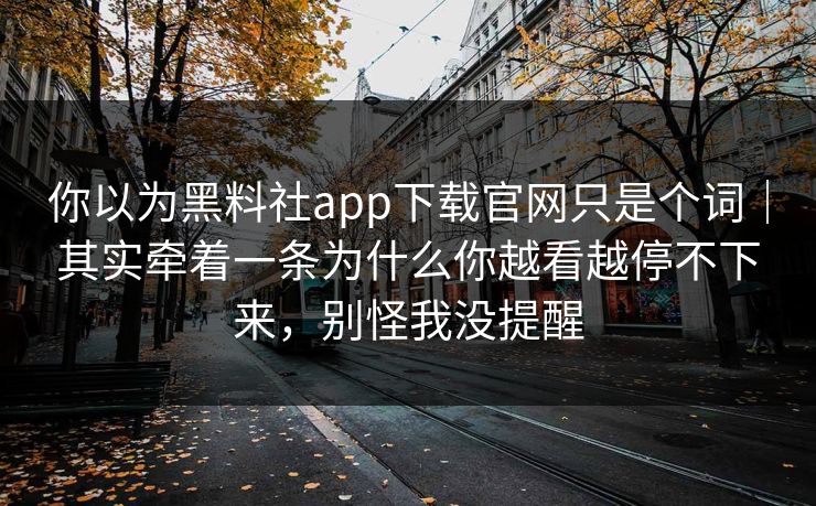 你以为黑料社app下载官网只是个词｜其实牵着一条为什么你越看越停不下来，别怪我没提醒
