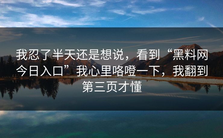 我忍了半天还是想说，看到“黑料网今日入口”我心里咯噔一下，我翻到第三页才懂