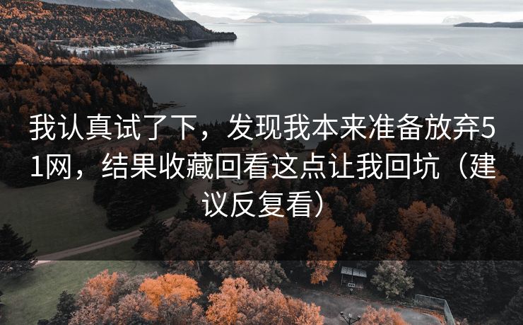 我认真试了下，发现我本来准备放弃51网，结果收藏回看这点让我回坑（建议反复看）